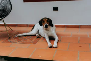 entre_rocas_la_grande1